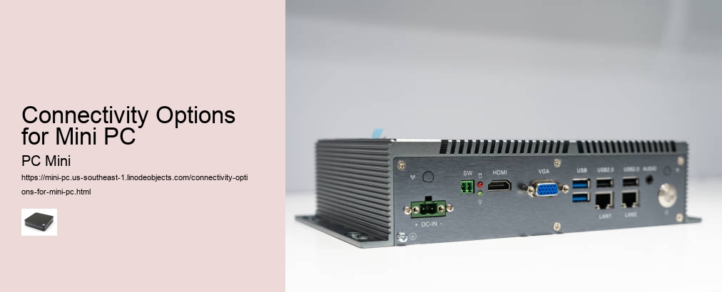 Connectivity Options for Mini PC